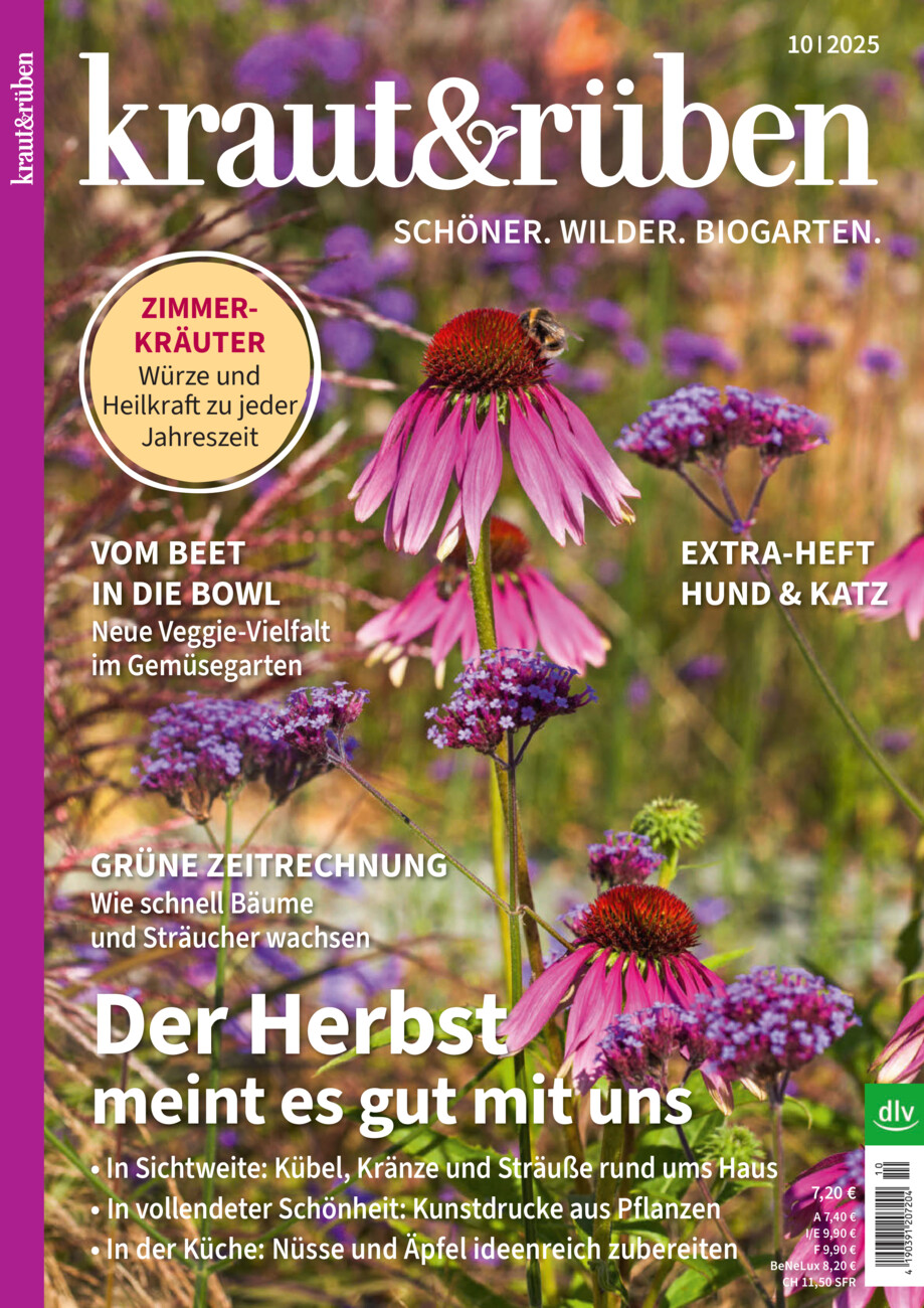 kraut&rüben vom Donnerstag, 18.09.2025