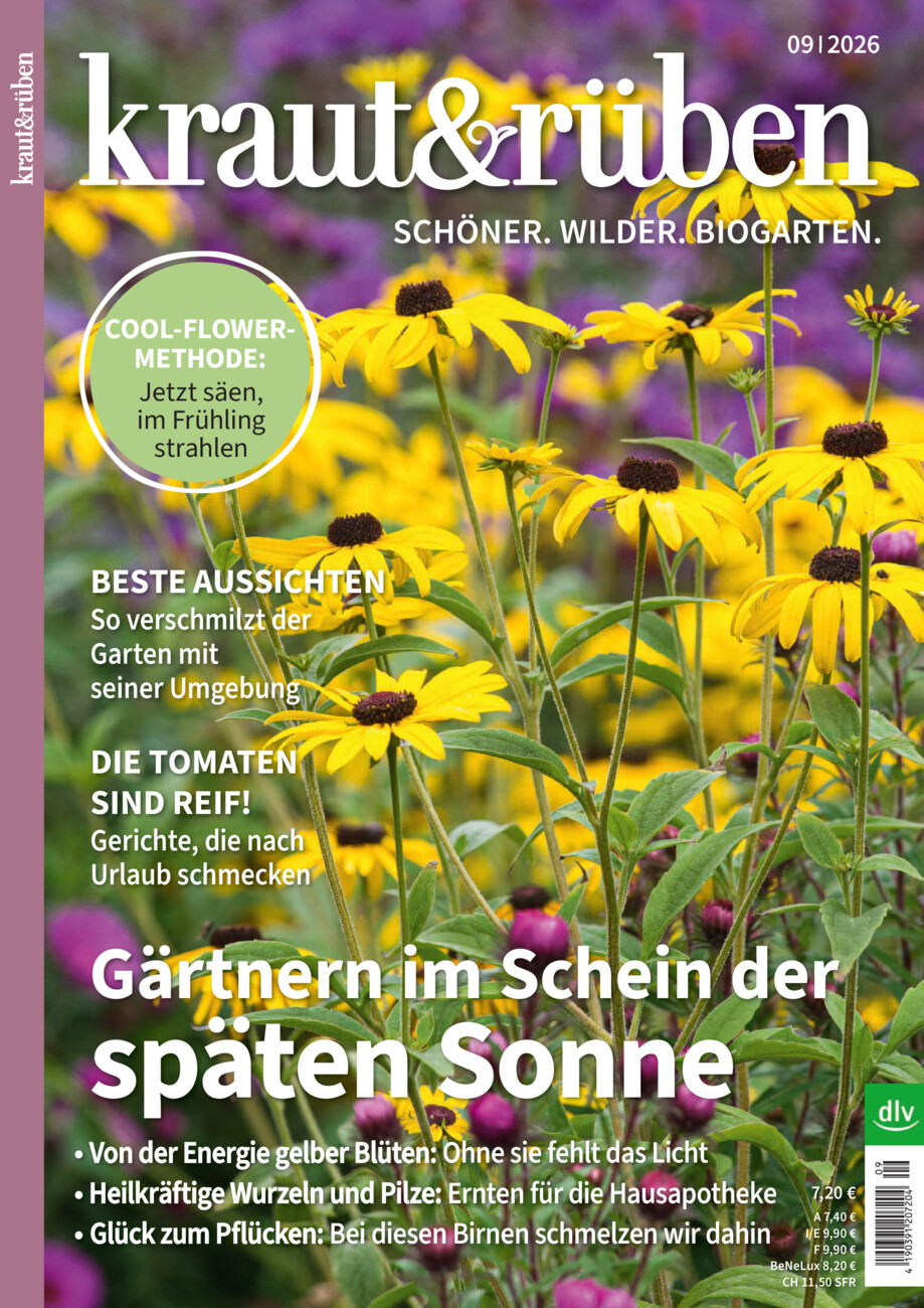 kraut&rüben vom Mittwoch, 19.08.2026